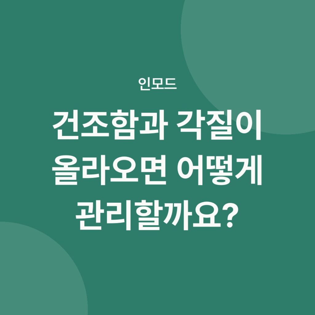 건조함과 각질이 올라오면 어떻게 관리할까요? 안내 카드